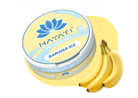 Hayati Nicotine Pouches – Tobacco - Free Nicotine Pouches (12mg–20mg, Mint & Fruit Flavours UK) - Noble Vape